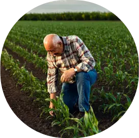 farmer